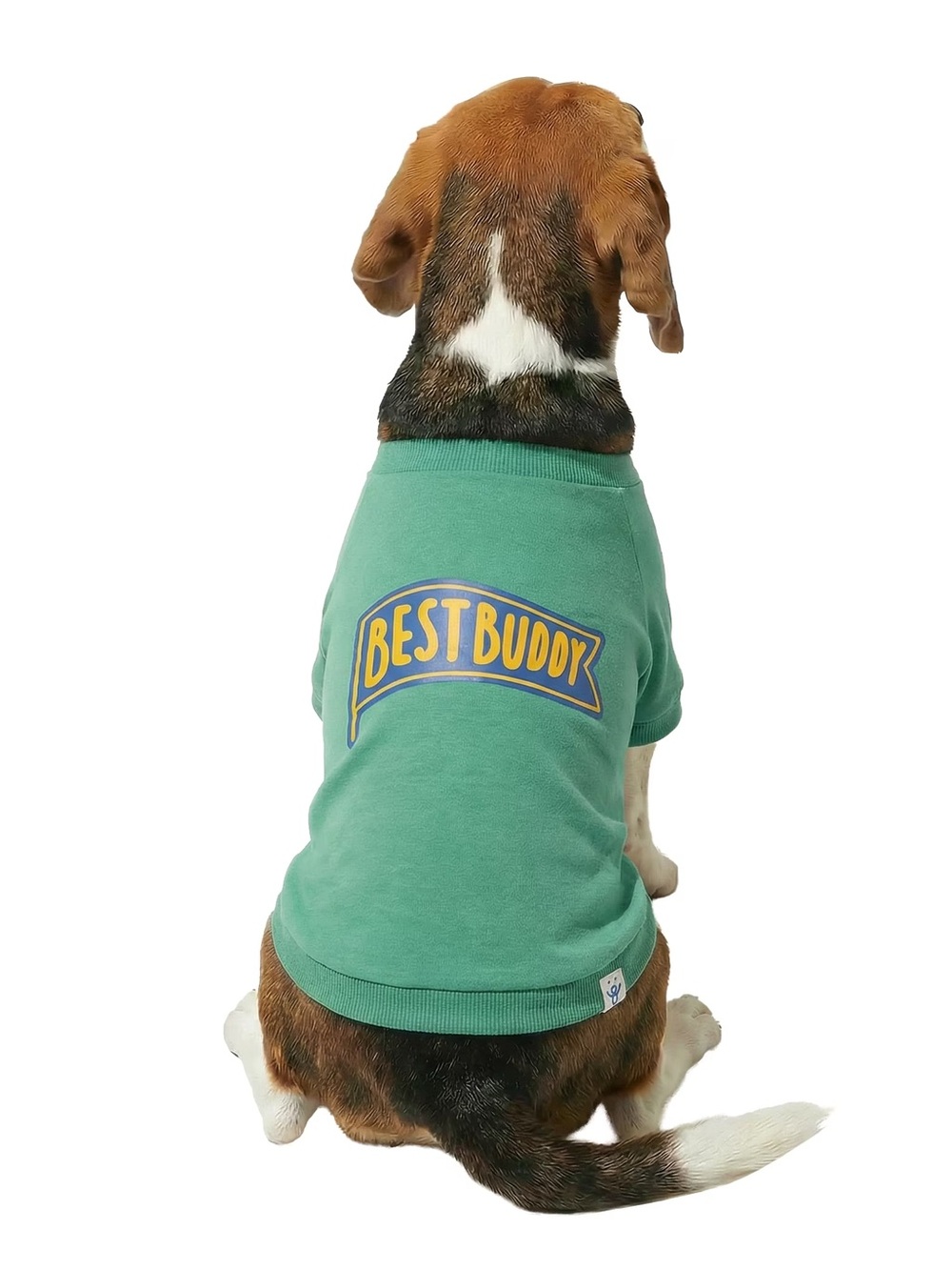 Oodles Green Best Buddy Graphic Dog Shirt Clothes Small